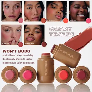 Pocket Blush & Glow Stick, 6 Shade for Drunk Makeup & Lazy Girl Aesthetic | Creamy Cheek, Lip, Eye & Highlighter | Portable Multi-Use Waterlight Stick