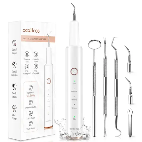 Plaque Remover for Teeth, Electric Tooth Cleaner Tartar Remover for Teeth with LED Light,4 Modes Rechargeable Teeth Cleaning Kit with Dental Tools, 2 Replaceable Heads