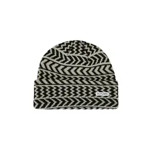 Autumn Headwear Chevron Beanie in Iceburg