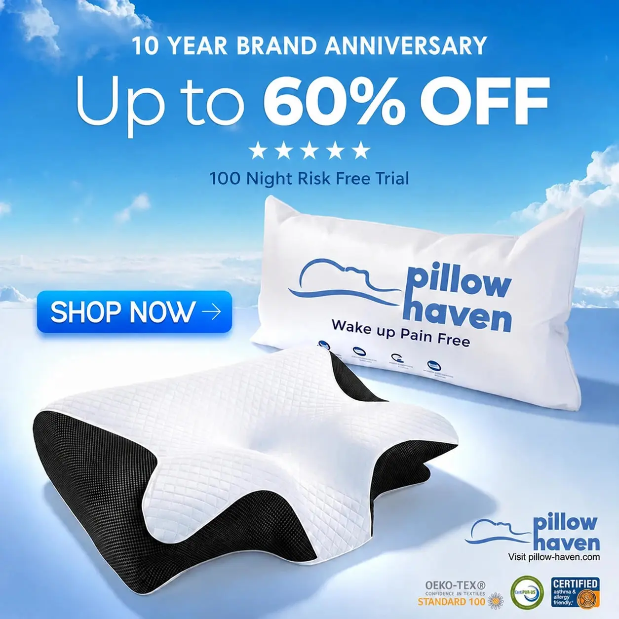 The Pillow That Ends Neck Pain - By Fixing Your Sleep Posture