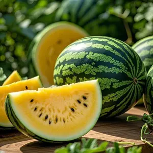 Premium Special Small Phoenix Watermelon Seeds (100+ pcs) – Sweet, Juicy, and Perfectly Sized Watermelons for Your Garden