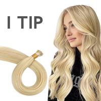 #16/22 Light Blonde Highlighted Golden Blonde