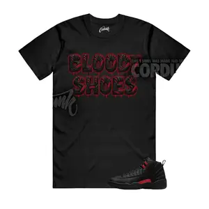 AJ12 Bloodline Varsity Red Match Shirt, Blood Shoes Graphic Tee, 90s HipHop Tee, Unisex T-Shirt, Cozy Gift