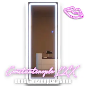 Oakleaf Modern & Contemporary Lighted Full Length Mirror