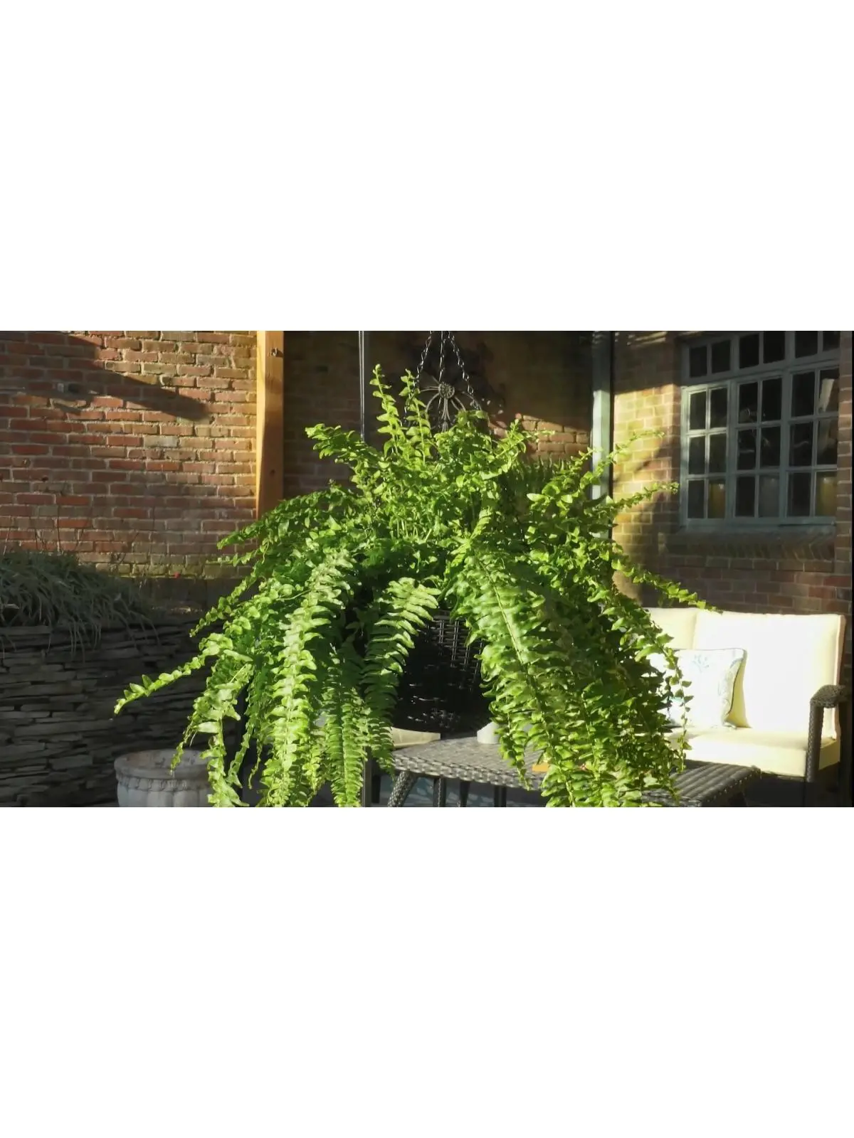 Ultimate Innovations 3737 Basket-Weave Self-Watering Hanging Baskets (Set of 2) with Drainage Plug & Automatic Drainage Design, for Balcony Decor, Both Indoors/Outdoors, Container Gardening