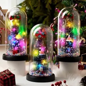 Mini Christmas Tree with Lights in Glass Dome, Christmas Tree with Snowy Bottle for Christmas Decorations Indoor, Christmas Home Decorations Gift for Girls Kids (Merry Christmas) Ornaments