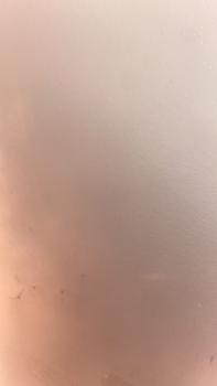 product review image from Eileen Kay 0