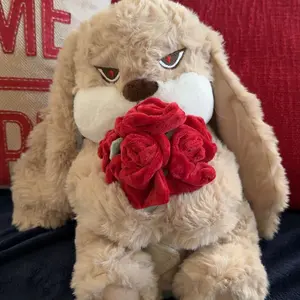 【ZEIO TOYS】RoseDiuDiu  plush toy rabbit doll cute rabbit baby doll soothing doll for boys and girls birthday gift, holiday gift, gift for giving cat hunting Cool Drop