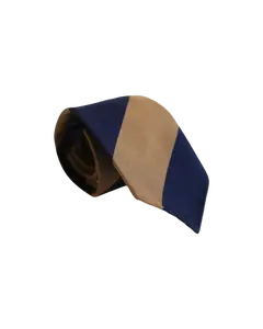 Blue and Brown Wide Stripe Tie