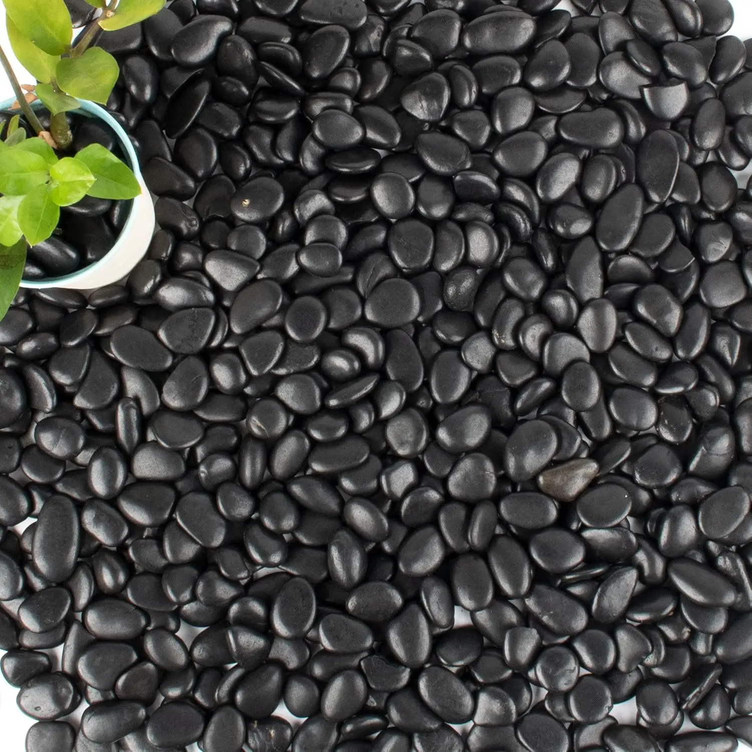 18 lb 1"  Polished Black River Rock for ,Aquarium,Vase,Garden Landscape Rocks and Outdoor Decorative Stones