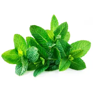 Organic Spearmint Leaf Teabags| Mentha spicata