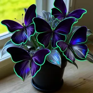 Butterfly Hosta Seeds 1000+ | Grow Stunning Purple Blooms Without a Green Thumb