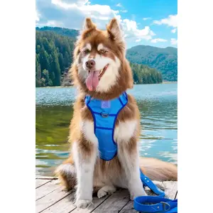 Dockside Adventures Ultimate Harness for Bold Dogs - Durable 38mm Straps, Reflective Trim, and 3 D-Ring Options - Perfect for Lakeside Strolls and Boat-Side Adventures