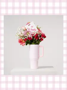 HYDROJUG Traveler Tumbler 40oz Pink Gingham Large Capacity Of Triple-Wall Insulated Stainless Steel With Straw Cup. Keep Pink By Your Side And Drink Plenty Of Water Today. Flip-Straw, Completely Leak-Proof. Birthday Gift, Festival Gift.
