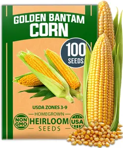 Golden Bantam Sweet Corn Seeds Pack – Heirloom Zea mays Vegetable Seeds – High Germination, Easy to Grow Outdoors for Beginners, Home Gardens & Heirloom Planting