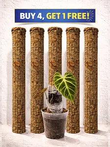 The Skyward Steel Bundle | Buy 4 24" Steel Poles, Get 1 FREE!