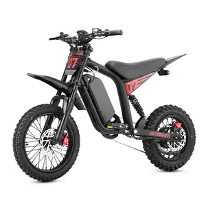 eAhora FT-07 Electric Eirt Bike for Adults/Teens，3000W 30MPH E Dirt Bike,48V 18AH 40Miles Electric Motorcycle，Full Suspension 14"/12" Fat Tires，with LCD NFC,Off-Road Mountain Bike for Age 9+