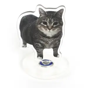 Oiiai Spinning Cat Acrylic Ornament for Desk Dashboard Accessory Stress Relief Music Enthusiasts Unique Sound Creative Fun Design