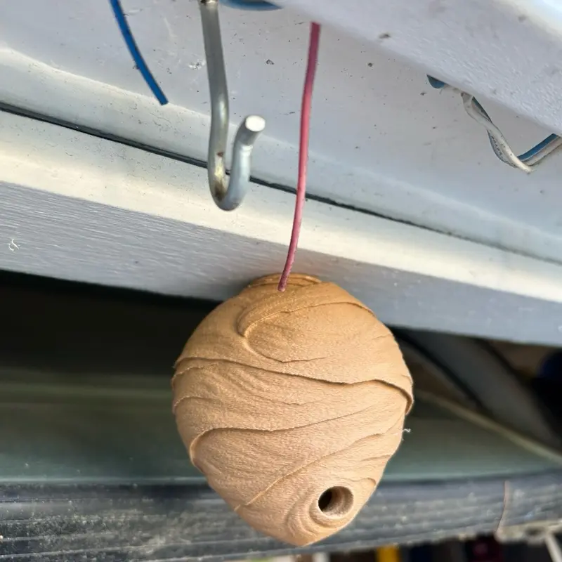 Fake Wasp 3d print Deterrent Nest
