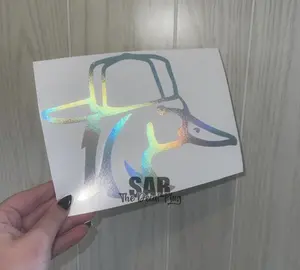 Wood Duck with Backwards Hat | Wood Duck Decal | Decal for Car or Truck