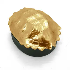 Pre Order Gold Turtle Shell Box