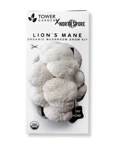 Organic Lion's Mane ‘Spray & Grow’ Mushroom Growing Kit