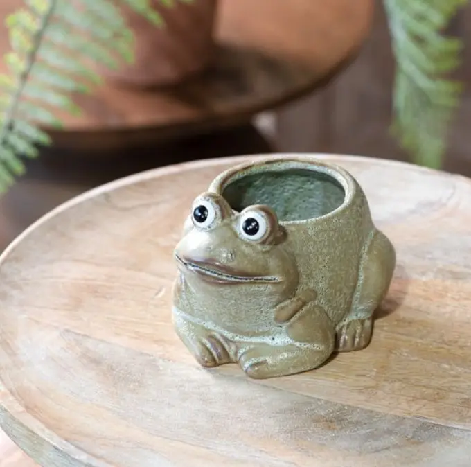 Ceramic Frog Planter