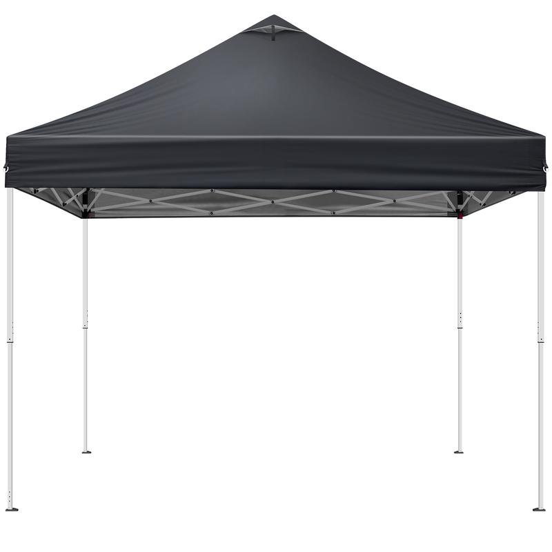 10x10FT pop up Canopy Tent with 2 sidewalls, Outdoor Canopy Tent,Adjustable Dual Awnings & Carry Bag
