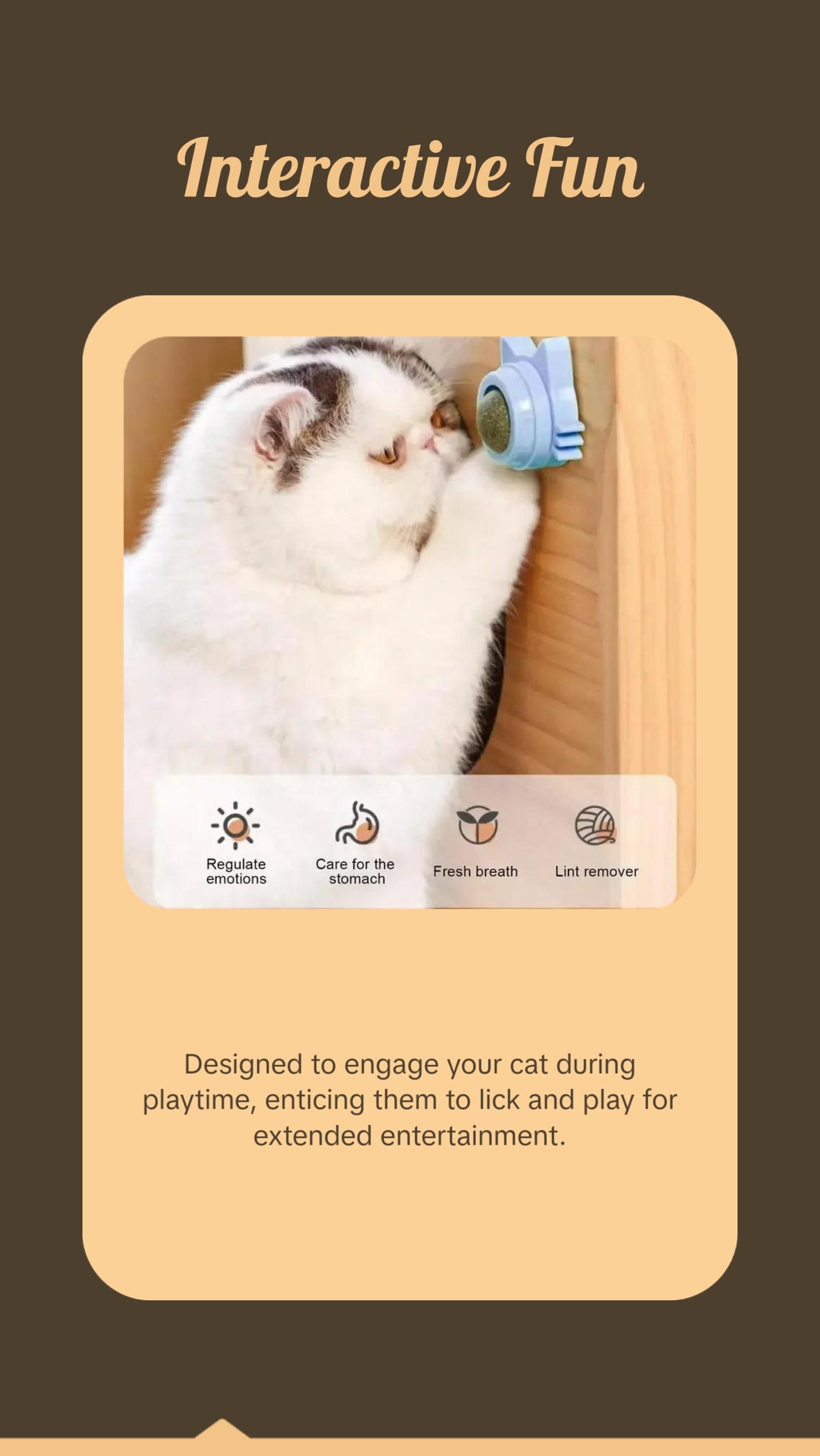 Catnip Balls Funny Lickable Cat Snack