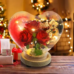 Handmade Rose Heart Glass Case with LED Lights & "I Love You" Necklace in 100 Languages Perfect for Valentine's Day Anniversaries Birthdays Christmas Gifts for Women