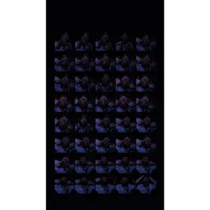 SWYD x LC "D4VD" Grid Poster