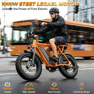 【SummerVibes】T63 Electric Bike, 4 Color Electric Bike for Adults, 1000W Motor, top speed 22 MPH ，468Wh Remove Battery, 20-4''Fat Tire Commuting Ebike, All-Terrain Electric Dirt Bike for Mountain, Snow, Sand, Road