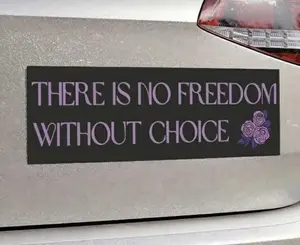 Feminist Bumper Magnet, Anti-Patriarchy Bumper Sticker F