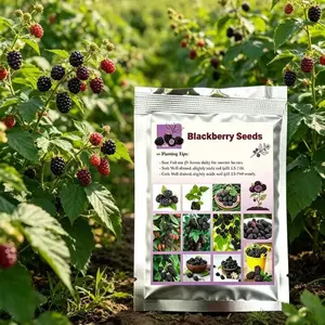 50 Pcs Blackberry Seeds, Non-GMO Perennial Fruit Plant, Easy Grow, Sweet Juicy Berry for Backyard Garden & Yard Planting