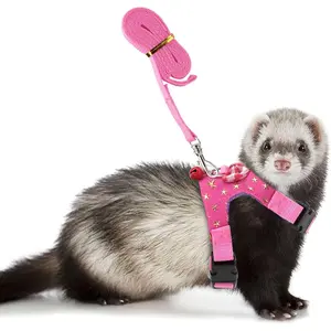 Ferret Harness Small Pet Harness Vest and Leash Set with Bowknot and Bell Decor for Gerbil Guinea Pig Squirrel Kitten Outdoor Walking (S, Pink Star)