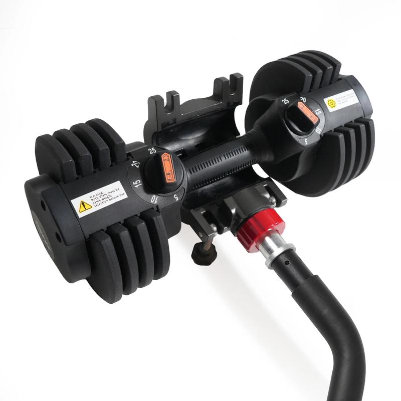 Modular EZ Curl Bar, Weight Lifting Barbell, Biceps and Triceps ...