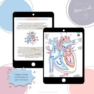 Heart Basics for Nurses Study Guide: 5 Pages of Notes and Games