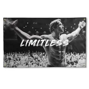 Arnold Schwarzenegger limitless 3x5 Flag Gym Motivation Fitness Poster