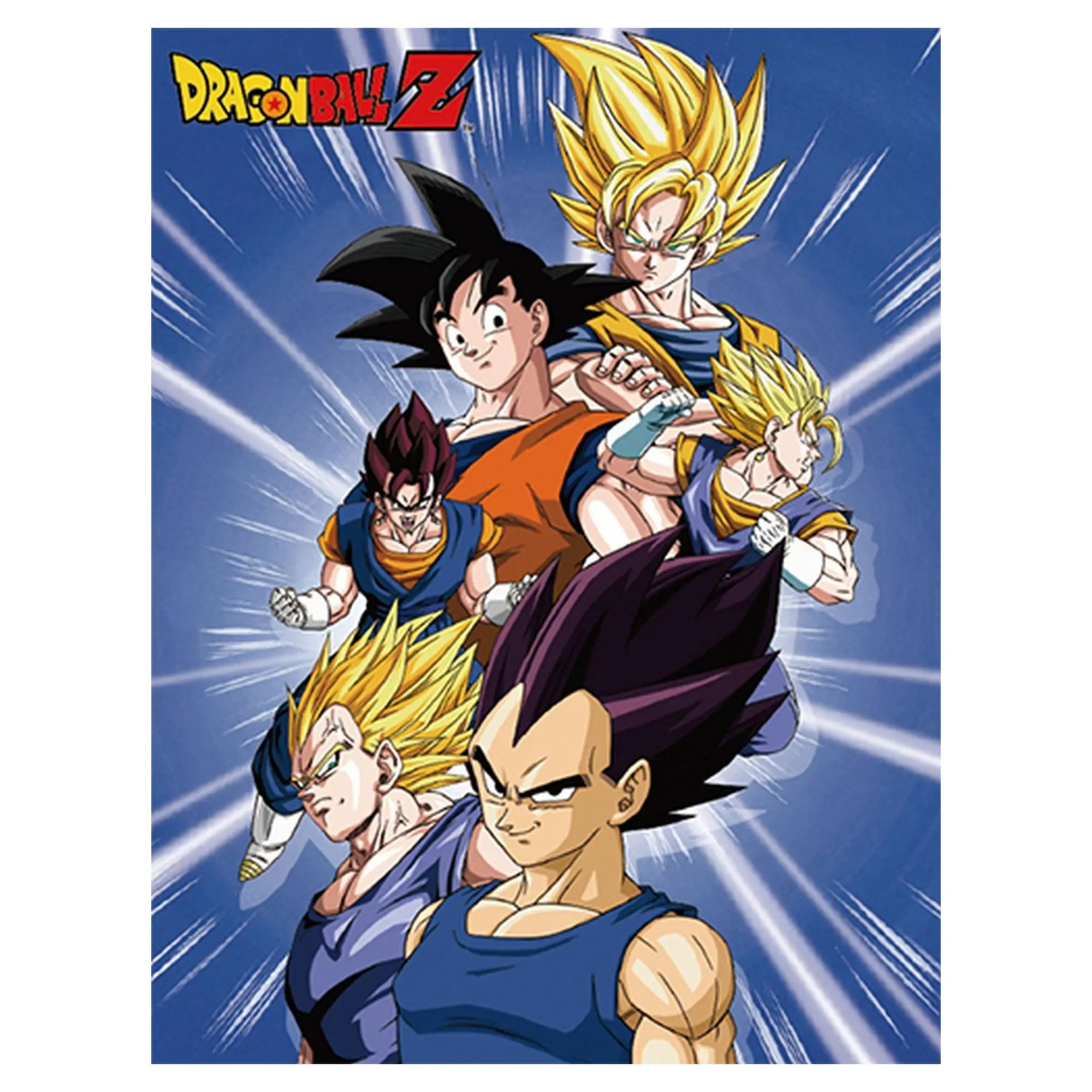 Dragon Ball Z - Group 5 Sublimation Throw Blanket