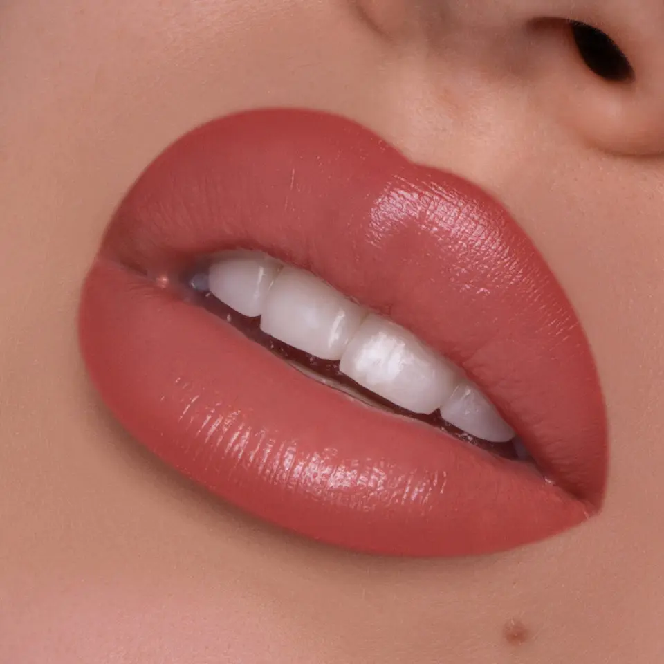 Lush Lip Duo