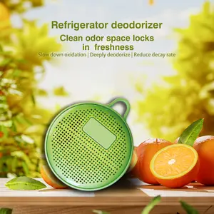 Refrigerator Deodorizer,Lasts for 10 Years Fridge Deodorizer Long Lasting Odor Eliminator for Fridge,Kitchen Gadgets Charcoal Air Purifier Odor Eliminator for Closet,More Effective Than Baking Soda home Deodorizer car Odor remover