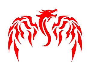 dragon fire express yourself with these Car Stickers 1 pc choose color and size dragon fire decal