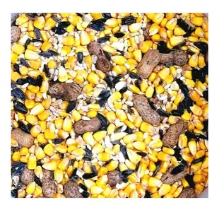 Squirrel & Critter Bird Seed Food Feed Corn Black Oil Sunflower Peanuts Nuts Nutritional Mix for Feeding Squirrels and Critter Birds