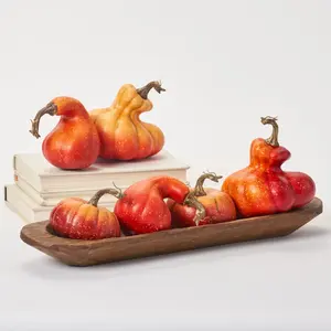 Flame Orange Pumpkin & Gourd Thanksgiving Fall Harvest Home Decor - Set of 6