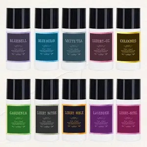 10*10ML Car Air Freshener Fragrance Refill Liquids, Long-lasting Car Aroma Diffuser Scent Perfume, Car Accessories