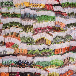 Bulk 500 Piece Assorted Vegetable and Herb Seed Packets