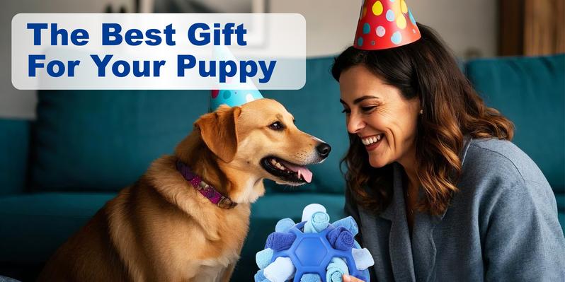 Gift for Pets, Dog Snuffle Ball Toy - Calming Puzzle Game for Small Dogs, Slow Feeder Snack Dispenser, Anxiety Relief & Mental Stimulation, Velvet Scented Hide & Seek Treat Ball,Ball Puzzle, Native Hidden Toy, Pet Snuffle Ball,