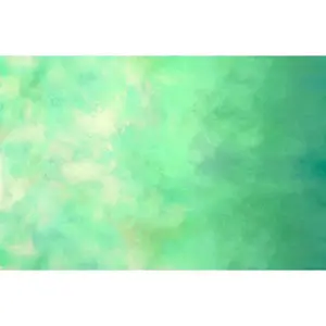 Sky Ombre Fabric - Fern - by Jennifer Sampou with Robert Kaufman