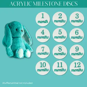Acrylic Baby Milestone Discs - Frosted Teal
