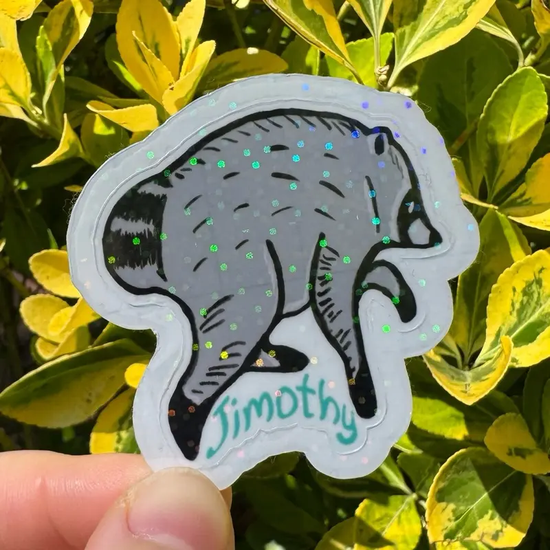 Jimothy the Raccoon Sticker, Jimothy Sticker, Holographic Vinyl Waterproof Sticker, Cute Seattle PNW Animal Sticker, Viral Raccoon Sticker